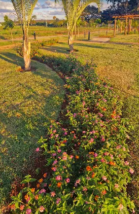 Terreno à venda com 300m² de terreno no Boa Esperança, Paulínia (SP) — foto 4 de 8
